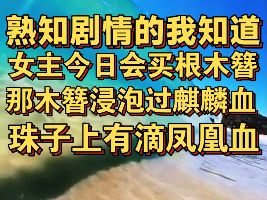 熟知剧情的我知道,女主今日会买一根木簪,那木簪浸泡过麒麟血,珠子上有凤凰血哔哩哔哩bilibili