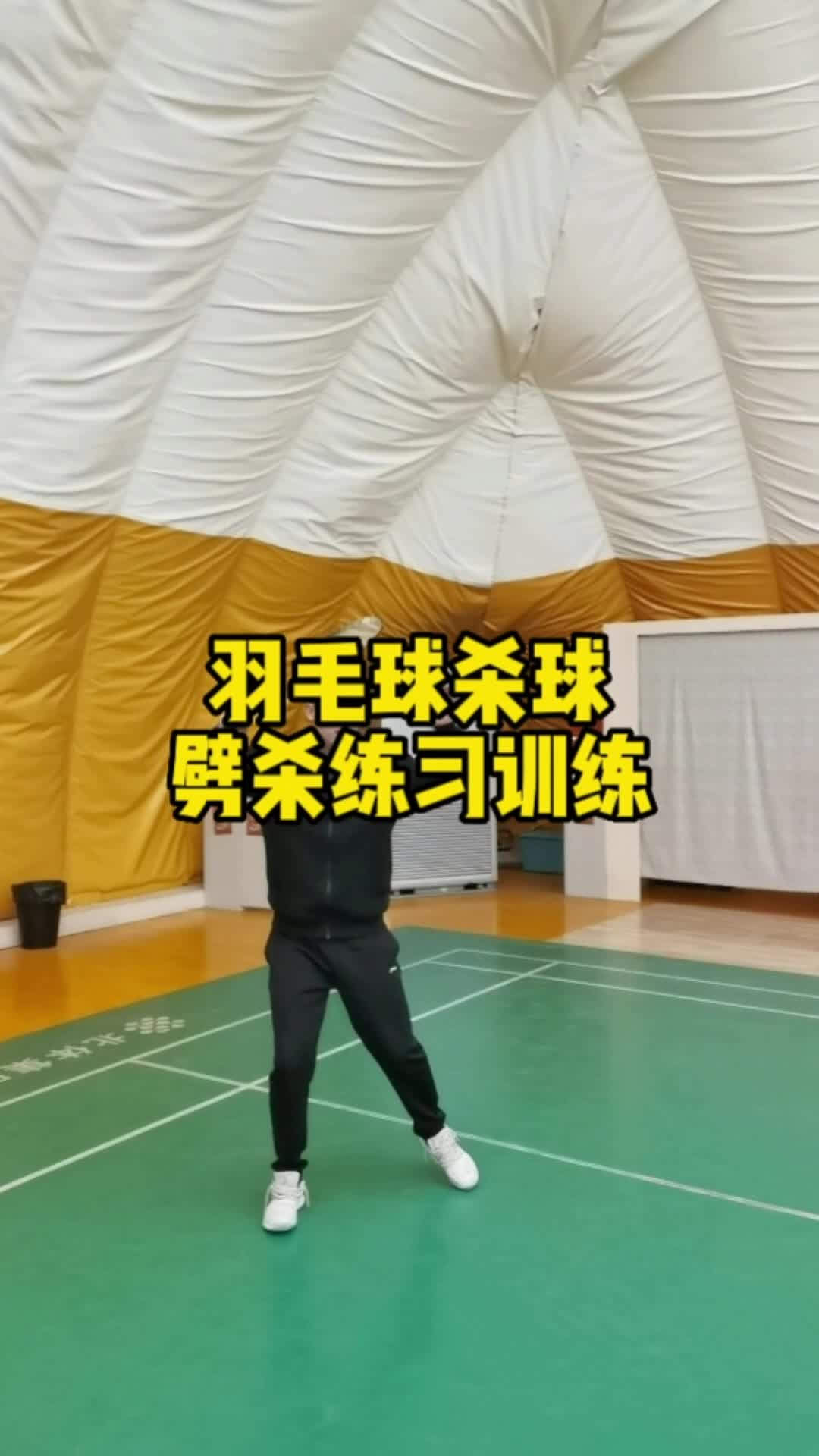 杀球都会了,劈杀你学会了吗?哔哩哔哩bilibili