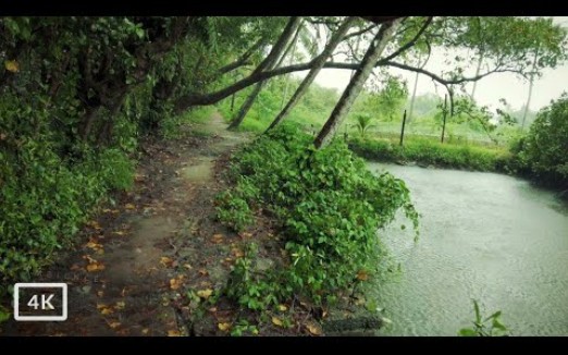 雨天步行穿过南印度一个美丽的绿色茂盛的村庄放松4K哔哩哔哩bilibili