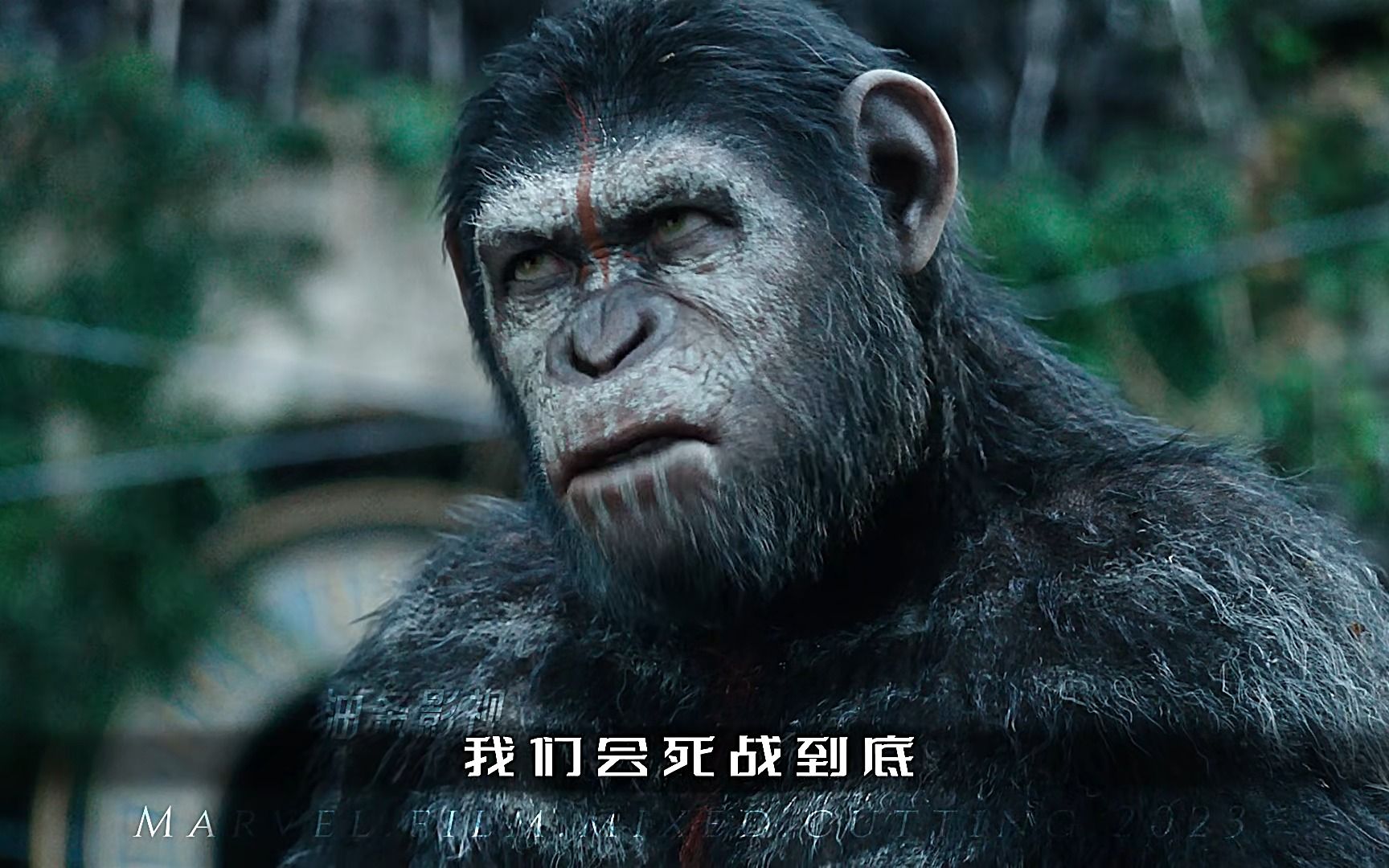 【猩球崛起】"单身久了,看猩猩都眉清目秀"