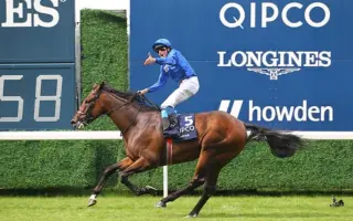 英皇锦标 搜索结果 哔哩哔哩 Bilibili