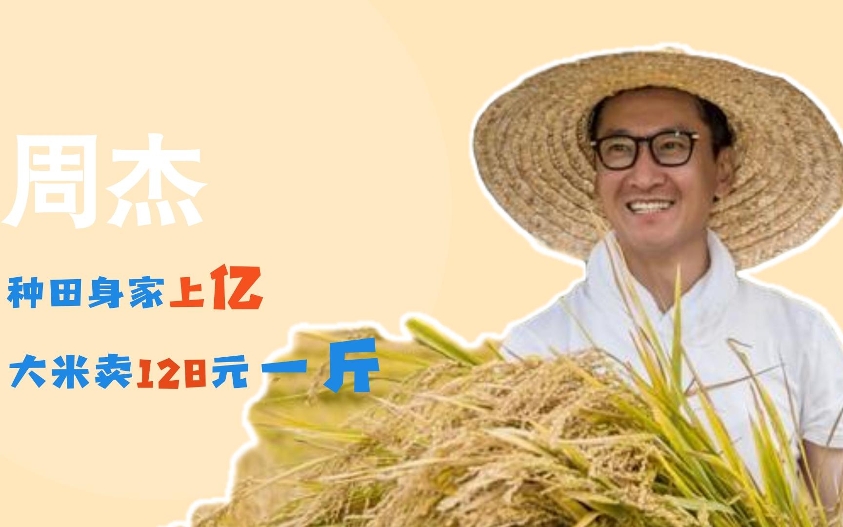 周杰:比起演员,更适合当农民,一斤大米卖百元,种田后身价上亿