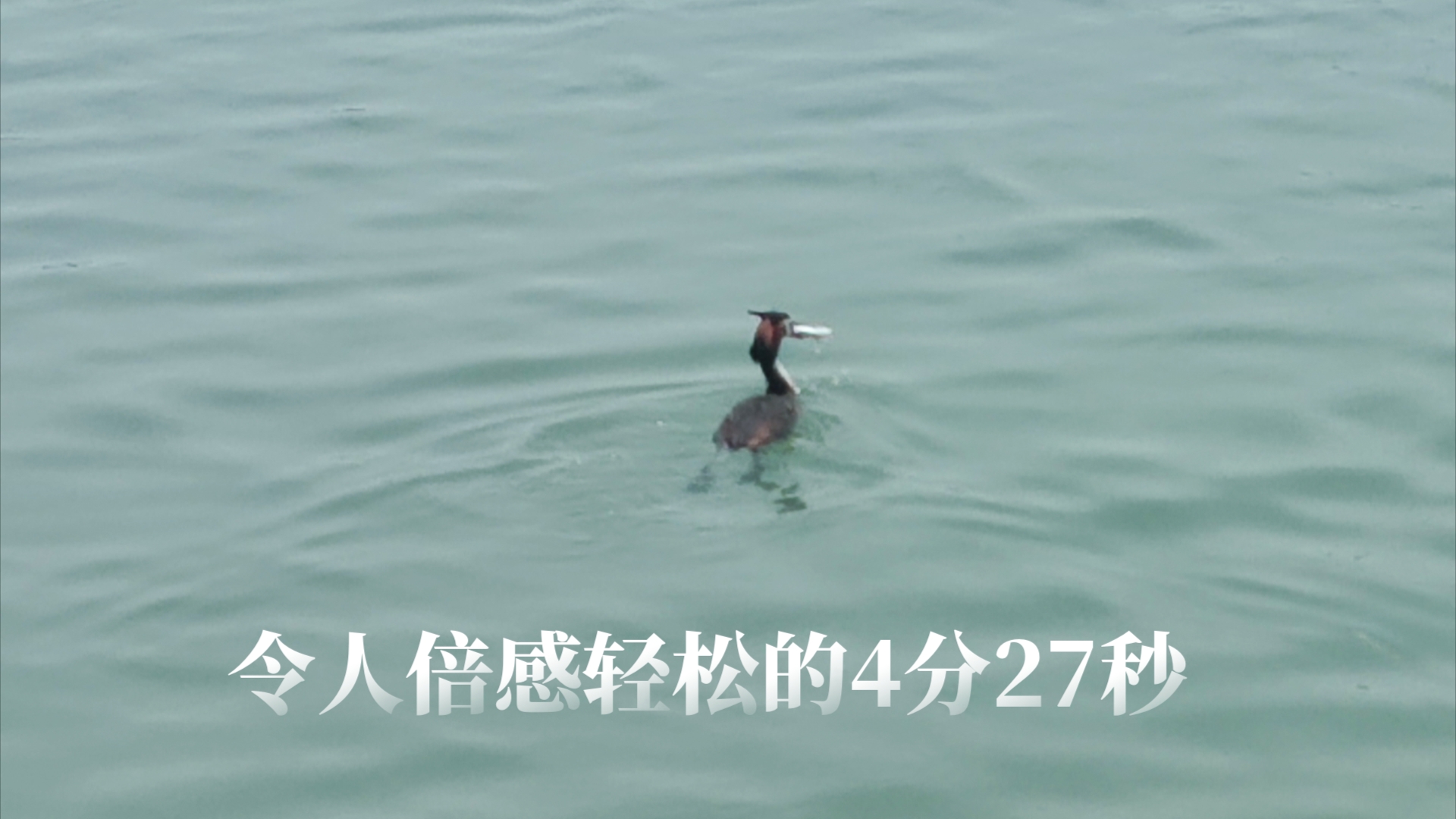 令人倍感轻松的4分27秒
