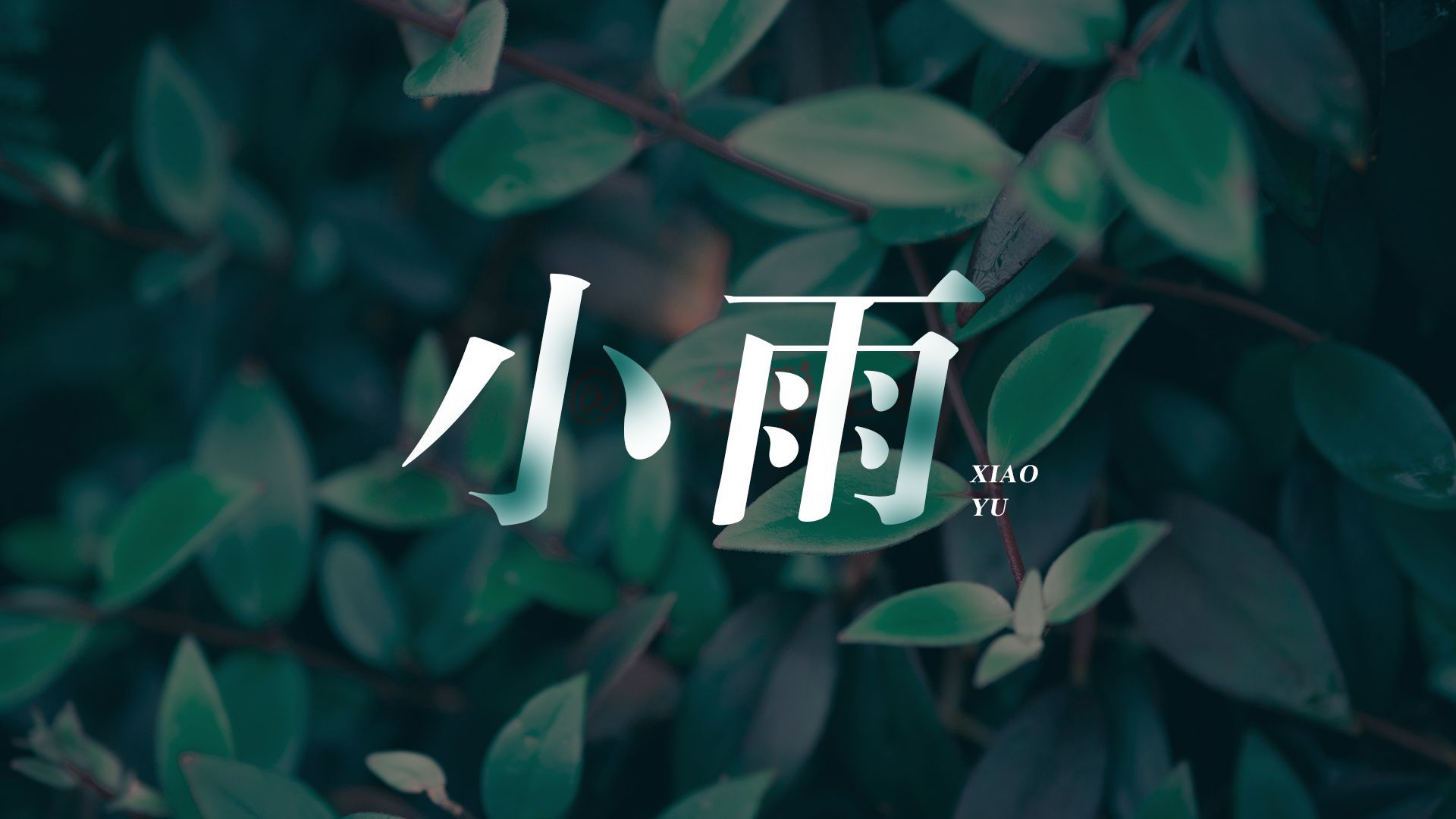 小雨 【synthesizer v cover】