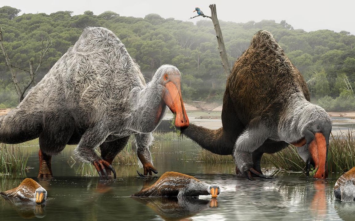 活动作品进化史诗合集