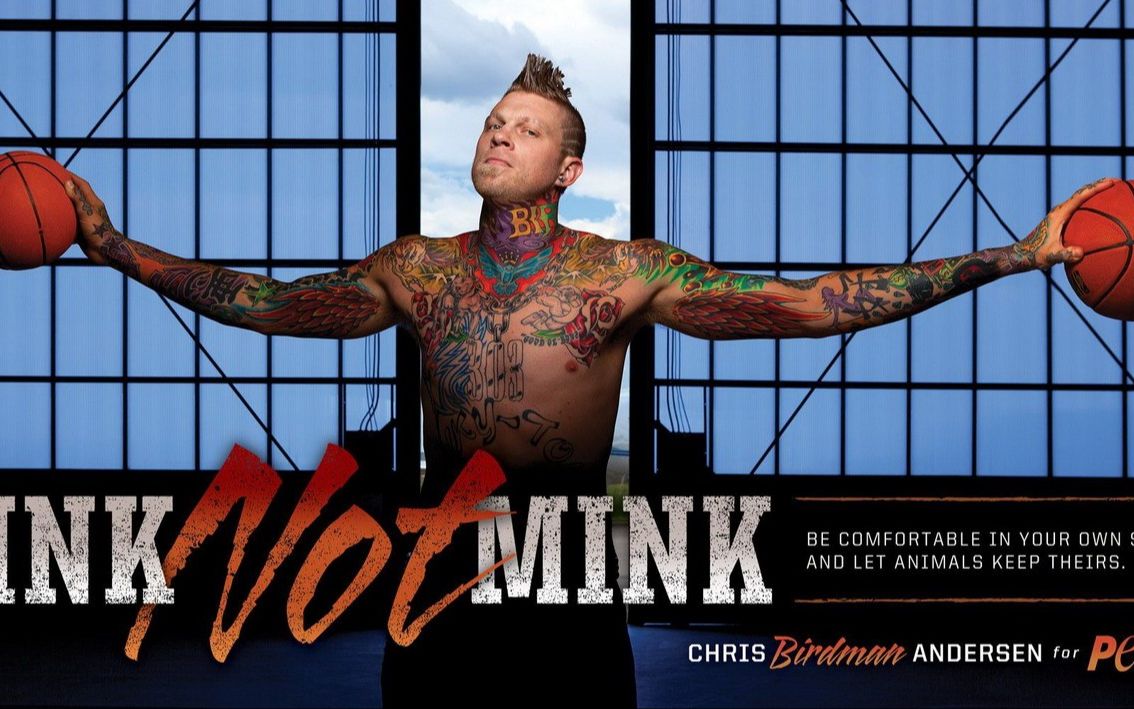 活动作品nba2kol2翱翔空中的鸟人安德森