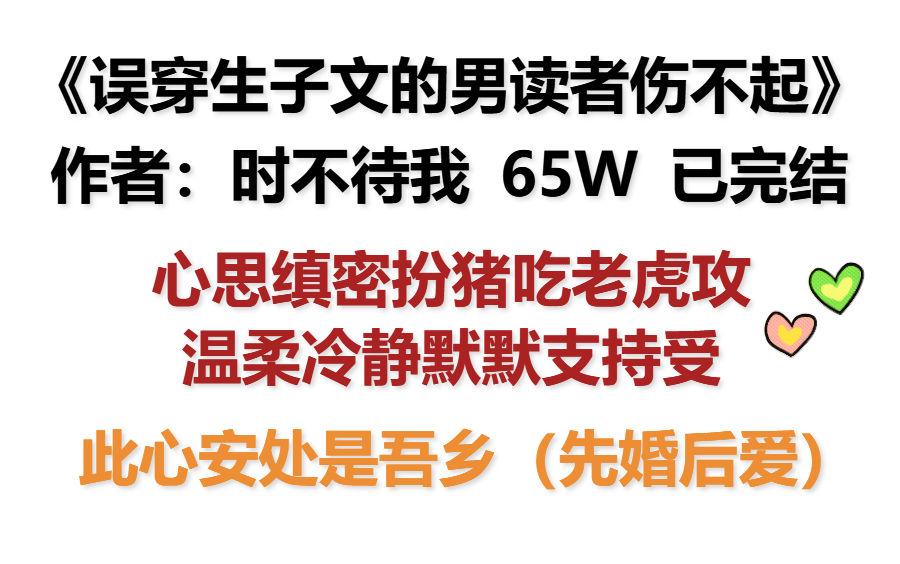 【原耽好文】《误穿生子文的男读者伤不起》作者:时不待我 “此心安处是吾乡”哔哩哔哩bilibili