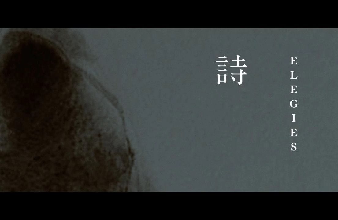 许鞍华导演纪录片《诗》Elegies(片段欣赏)哔哩哔哩bilibili