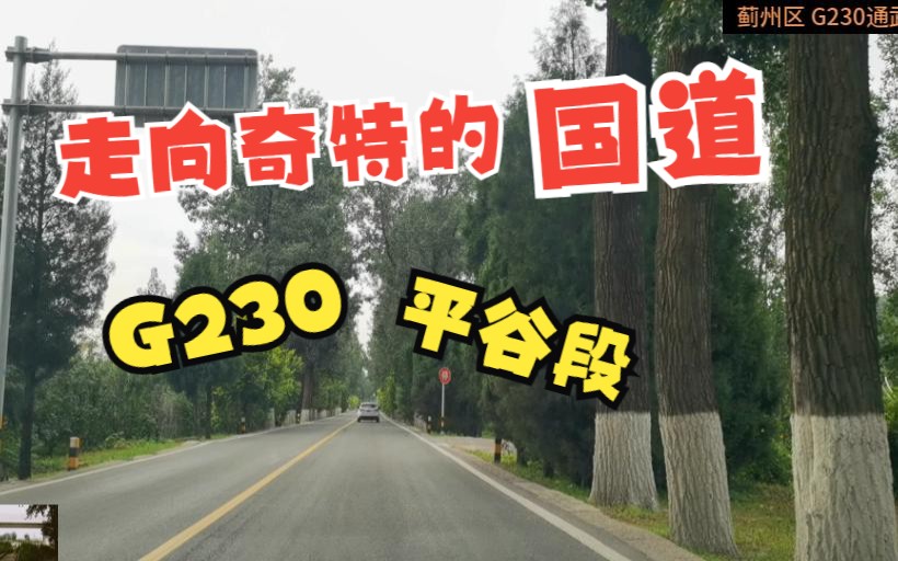 走向扭曲古怪的国道/G230国道北京段自驾(1)北京平谷段自驾POV108哔哩哔哩bilibili