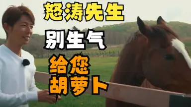 メイショウドトウ-哔哩哔哩_Bilibili