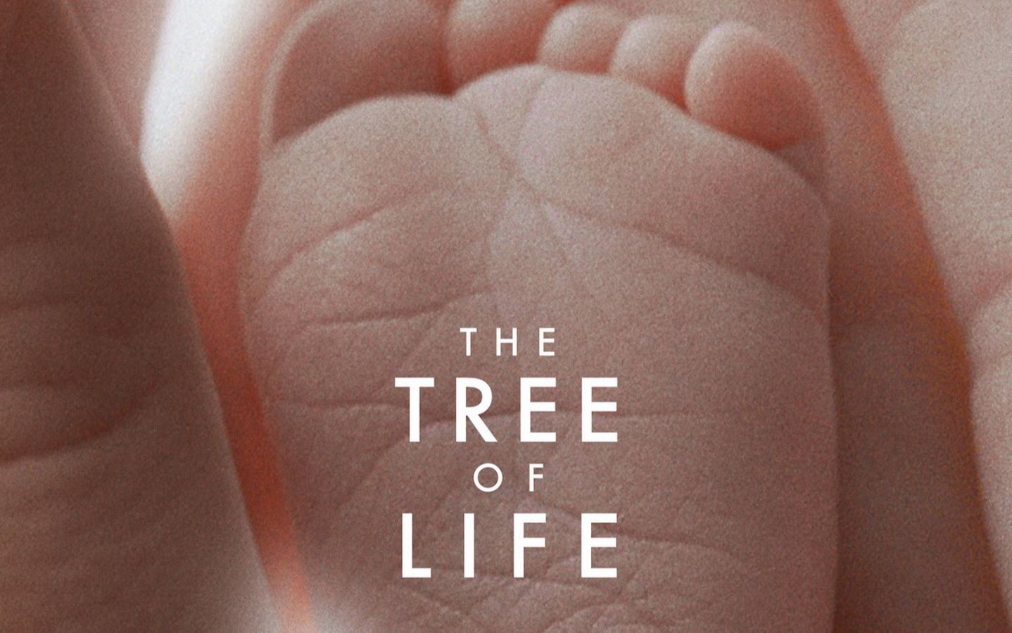 [图]The Tree of Life Original Soundtrack