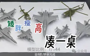 Скачать видео: 4D模型新品预告：1/144战斗机第五弹不知道各位等了快半年可否满意