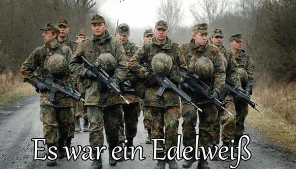 [图]德国军乐 雪绒花 Es war ein Edelweiß