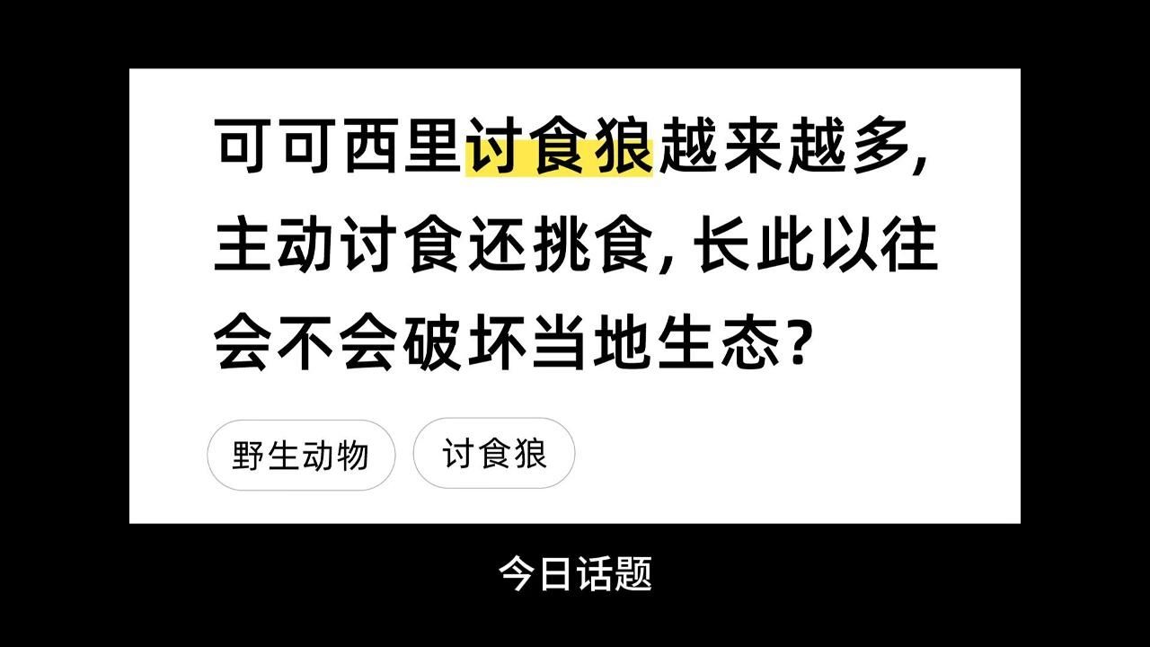 可可西里讨食狼越来越多,主动讨食还挑食,长此以往会不会破坏当地生态?哔哩哔哩bilibili