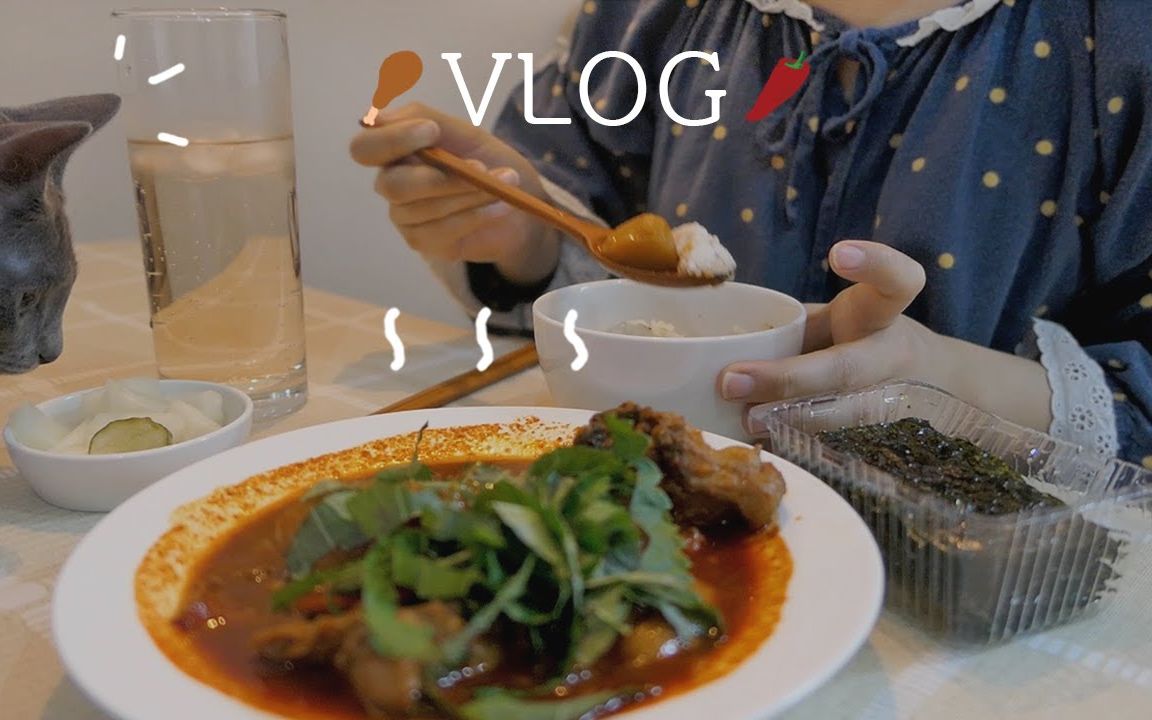 【Dyeong】自炊生边做VLOG边度过休息日的日常/鸡爪,辣炖鸡块,紫菜包饭,芝士年糕,熏鸭哔哩哔哩bilibili