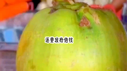 茗《娇小莲花》哔哩哔哩bilibili