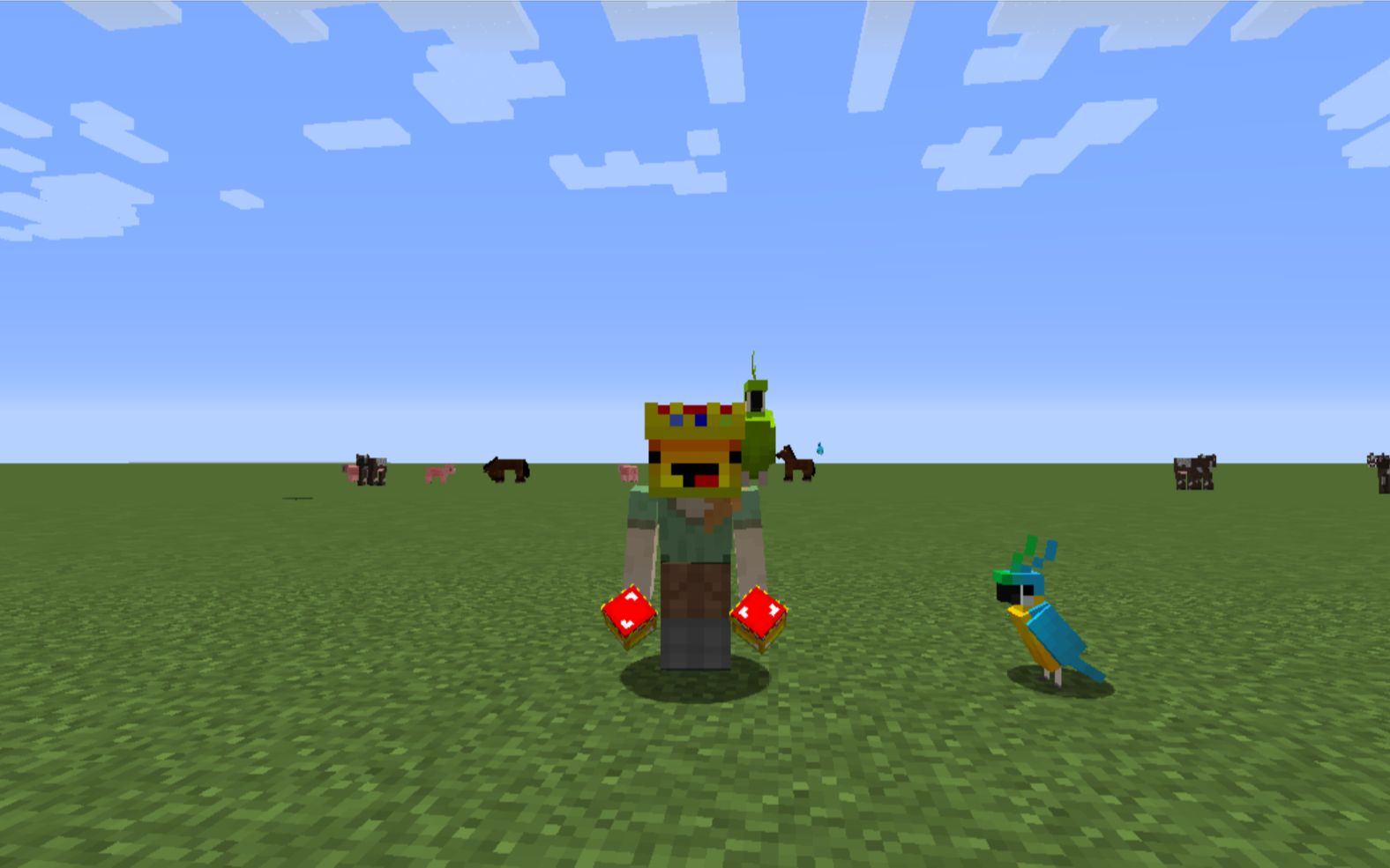 彩 虹 傻 鸟_我的世界