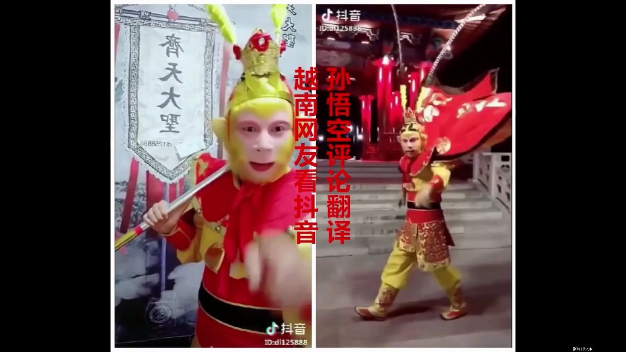 抖音大神扮演孙悟空,越南网友:西游记不是越南的吗?哔哩哔哩bilibili