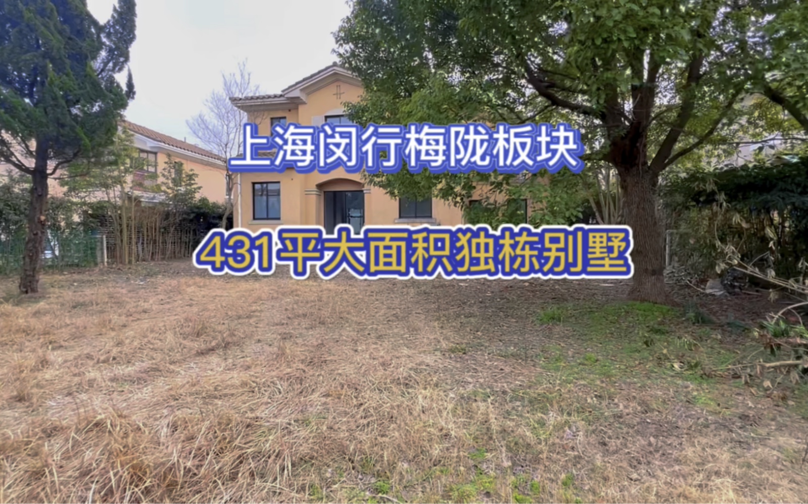 十年不住的独栋别墅,花园1亩建面431平在上海闵行近中环附近哔哩哔哩bilibili