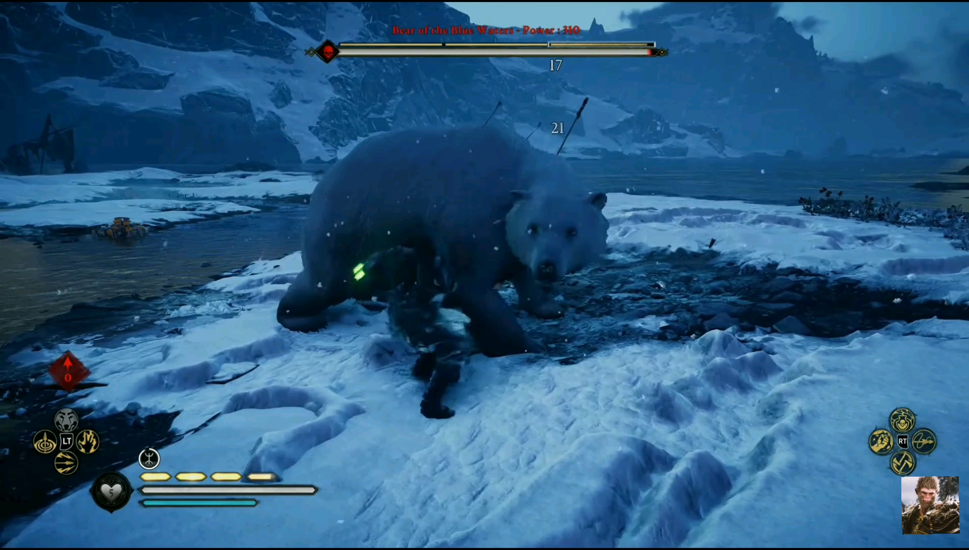 刺客信条英灵殿大战北极熊300回合还是虐待动物ps5