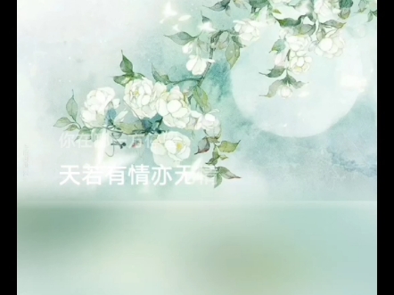 初听不识曲中意哔哩哔哩bilibili