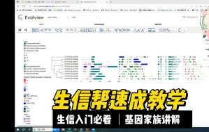 Download Video: 基因家族分析课程39-Evolview进化树美化工具，在线网站讲解，如何一步步绘制图表？