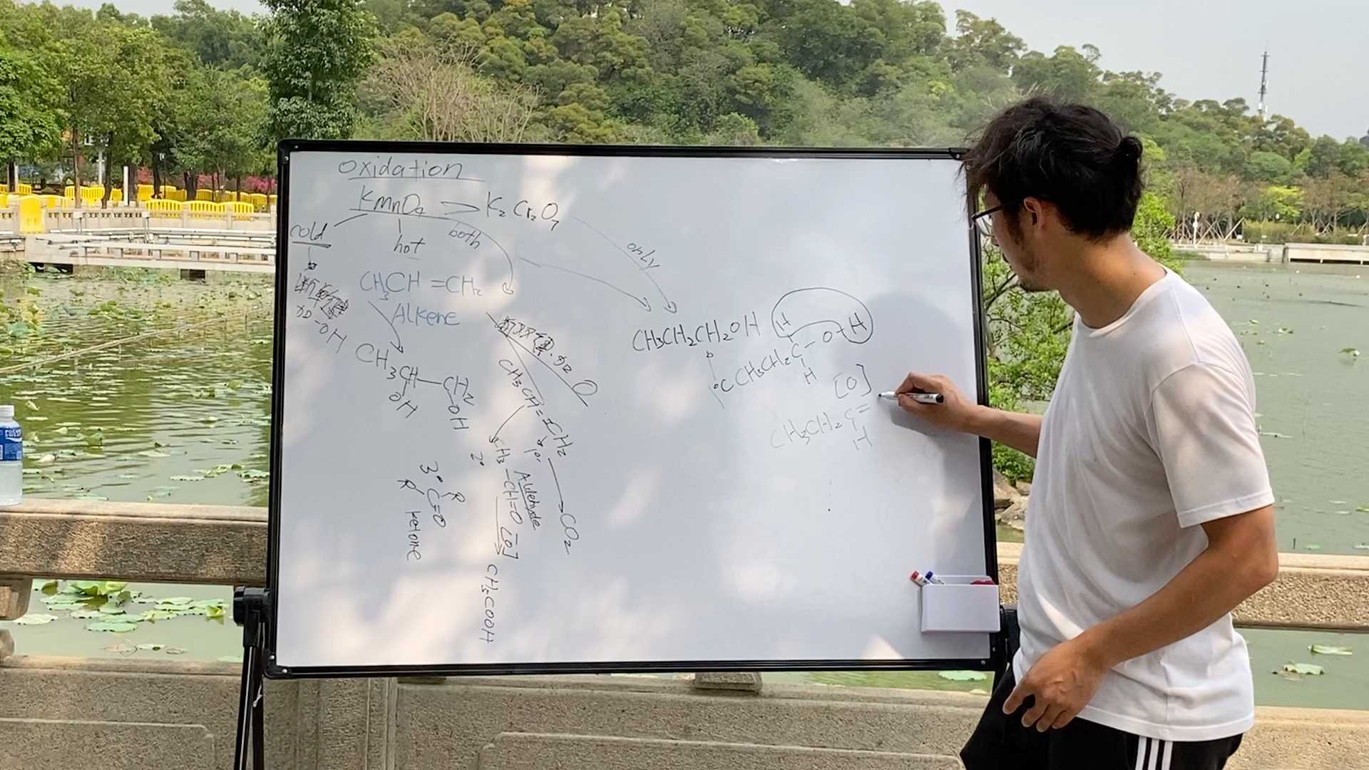 [图]Organic oxidation 野外版