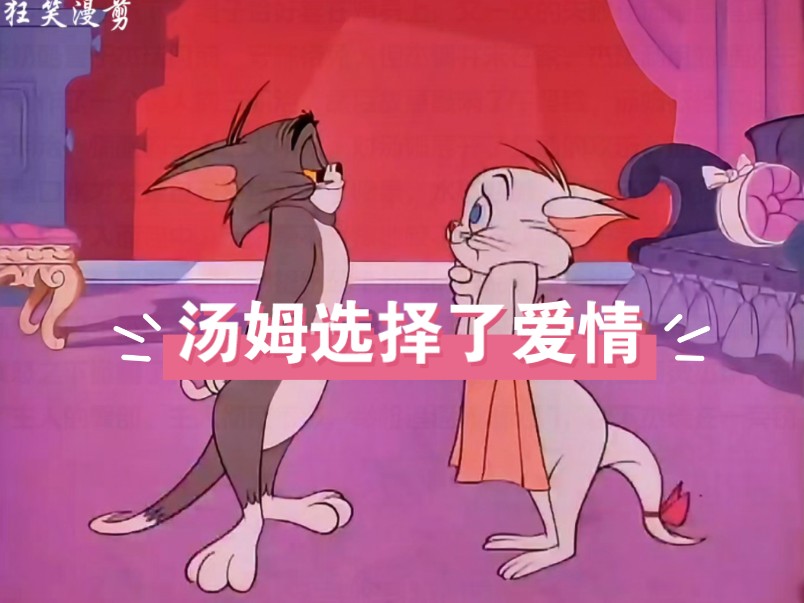 猫和老鼠比喻爱情图片