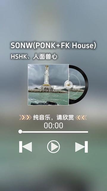 HSHK、人面兽心 SONW(PONK+FK House)哔哩哔哩bilibili