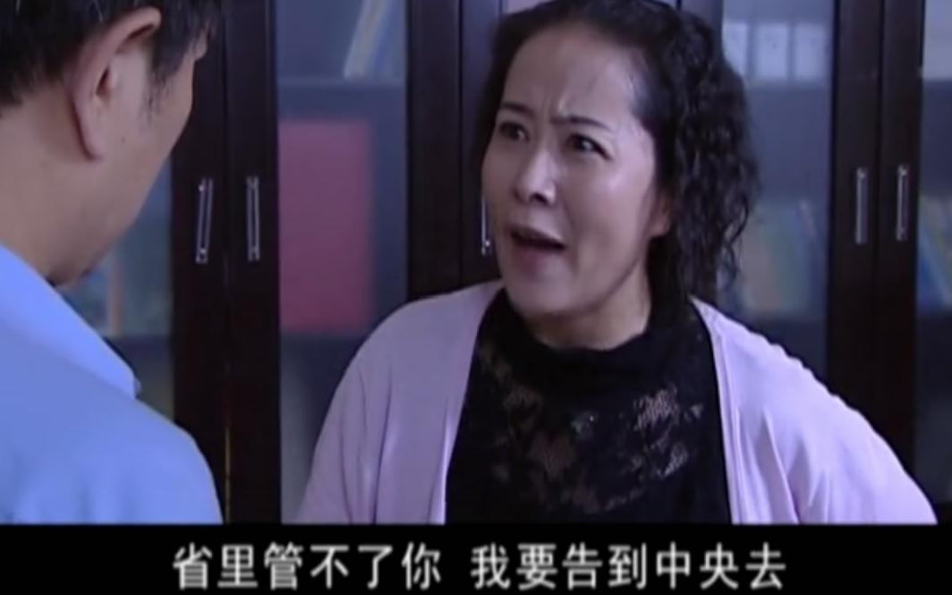 罪域:市长让女保姆怀上了孩子,老婆暴怒要上告中央,这下惨了哔哩哔哩bilibili