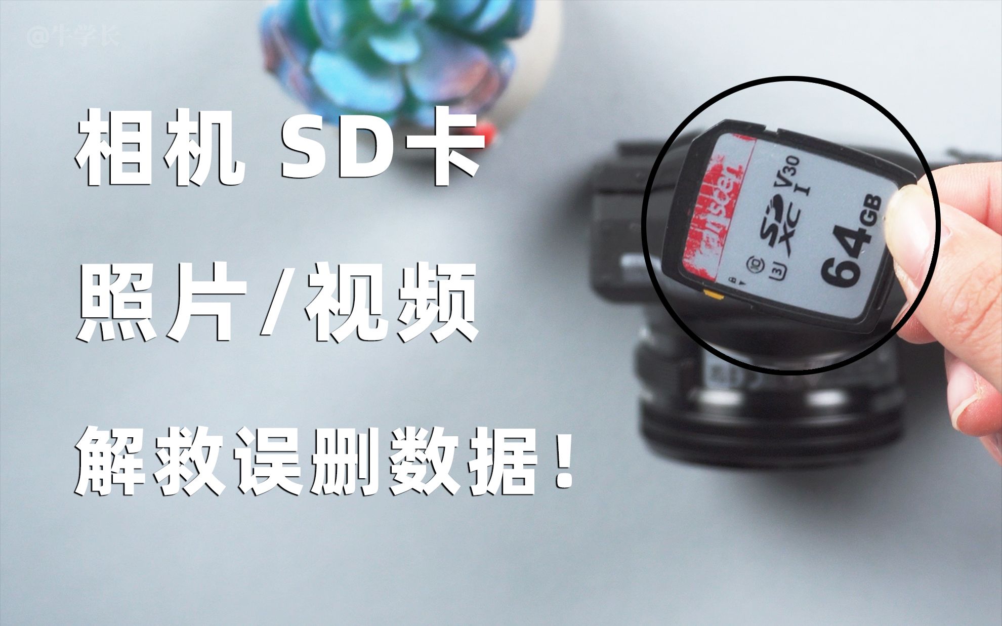 如何从索尼/富士/佳能相机 SD卡 恢复删除的照片/视频?