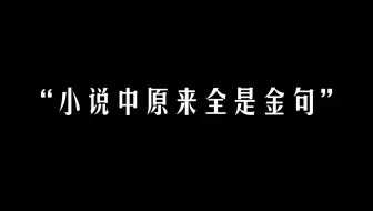你以为我只是在看小说？其实把金句都偷偷抄下来了