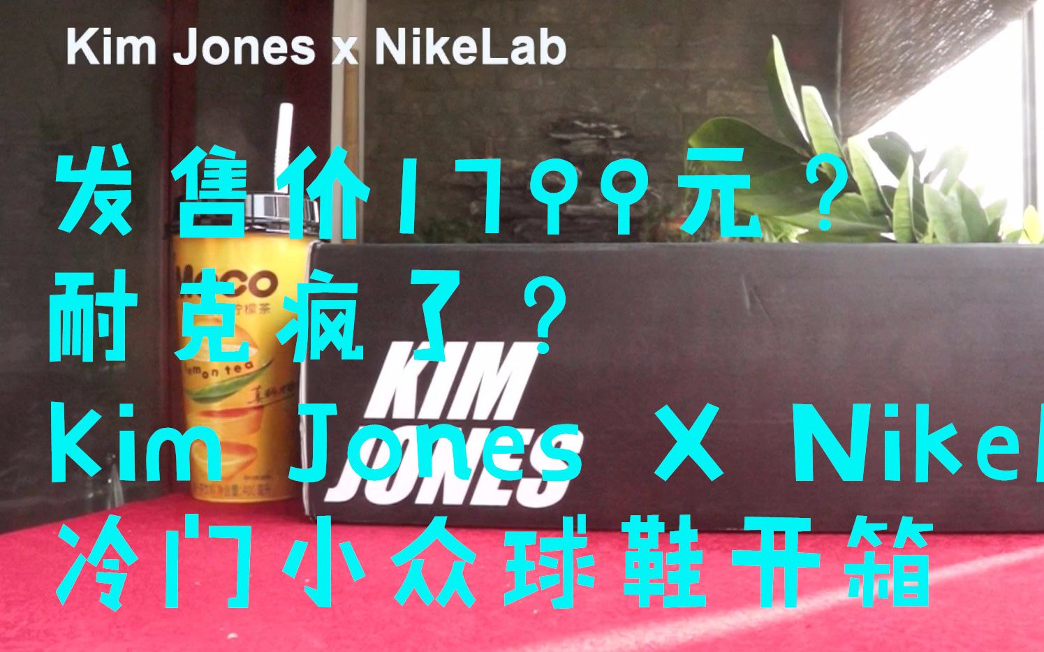 发售价1799元?耐克疯了?Kim Jones X NikeLab Air Zoom LWP|学生党冷门复古运动鞋开箱上脚哔哩哔哩bilibili