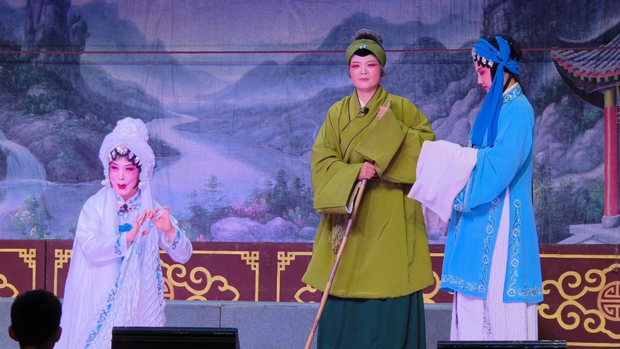 豫剧《大祭桩》婆母娘且息怒站在路口 张小雪 饰 黄桂英
