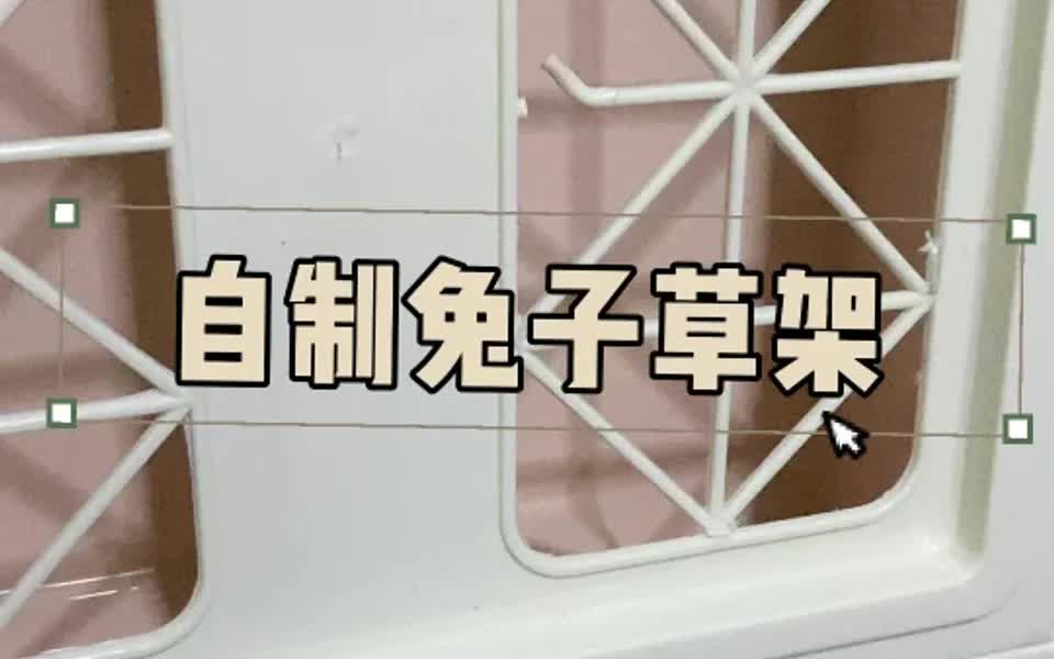 自制兔子草架