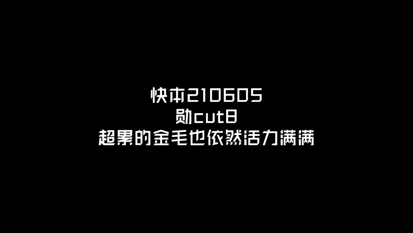 【魏大勋cut】快本210605快乐小金毛要加班cut8哔哩哔哩bilibili