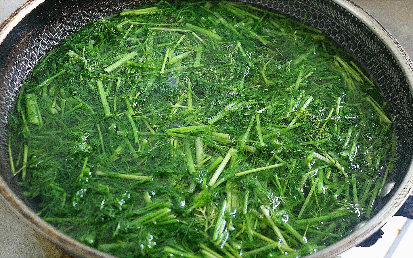 [图]茴香别做馅料了，往锅里一扔，开胃爽口解油腻，比吃大鱼大肉过瘾