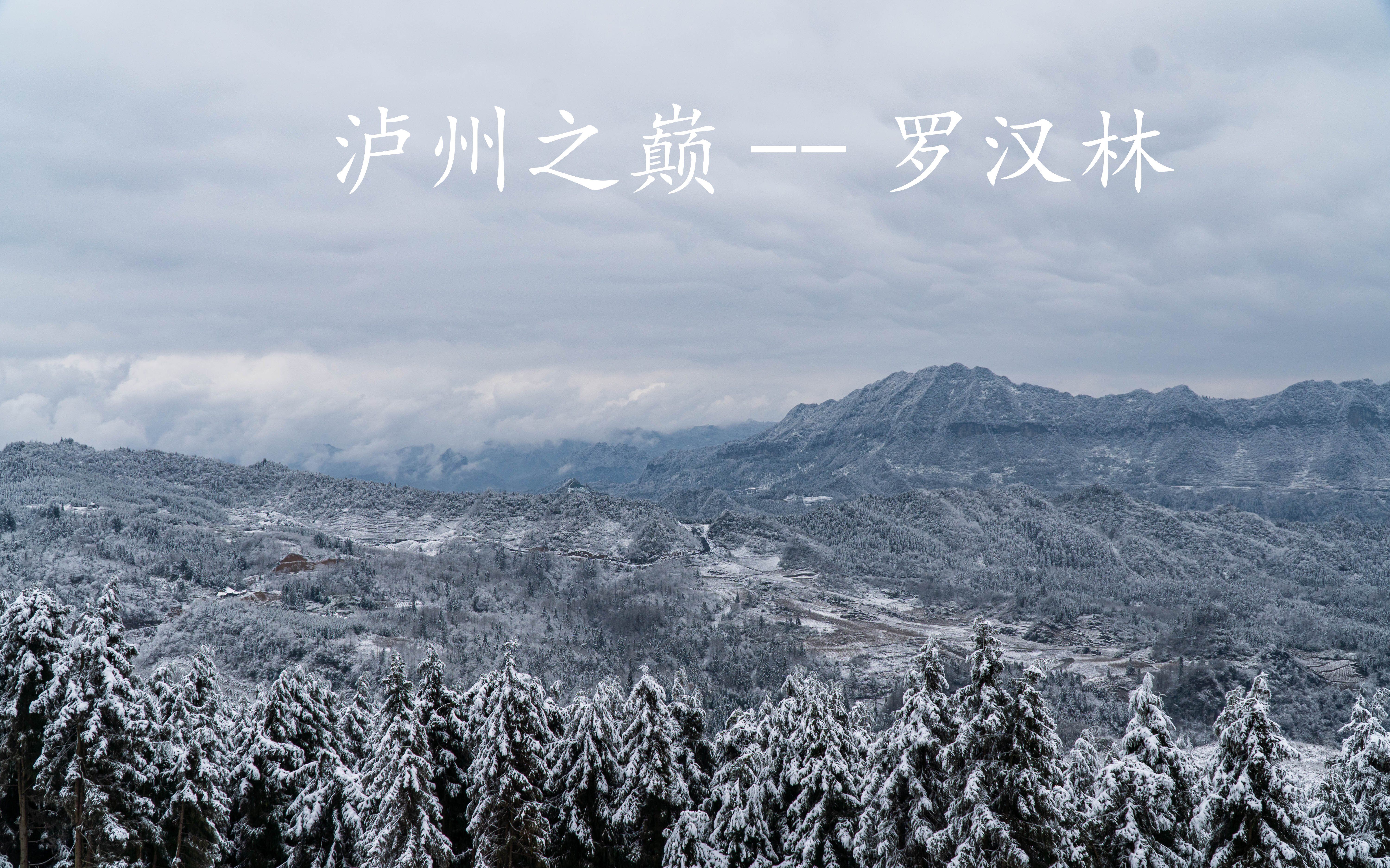 泸州之巅罗汉林看雪玩雪旅游攻略哔哩哔哩bilibili