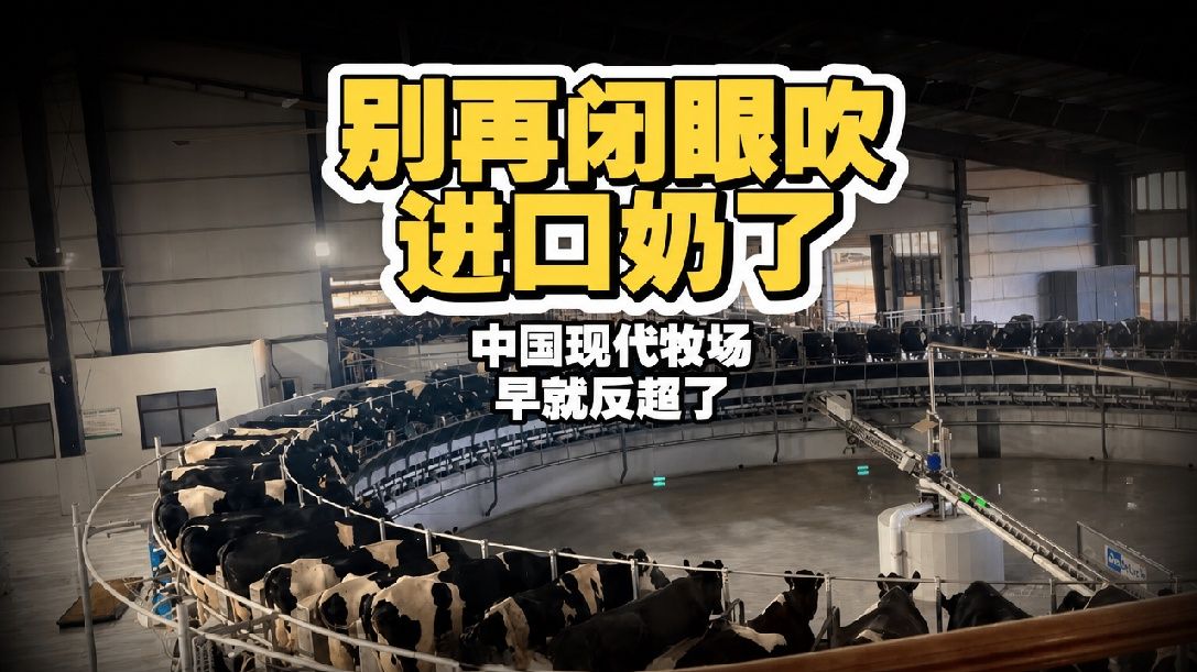 中外牛奶营养指标硬核测评，国产牛奶不比外国差！