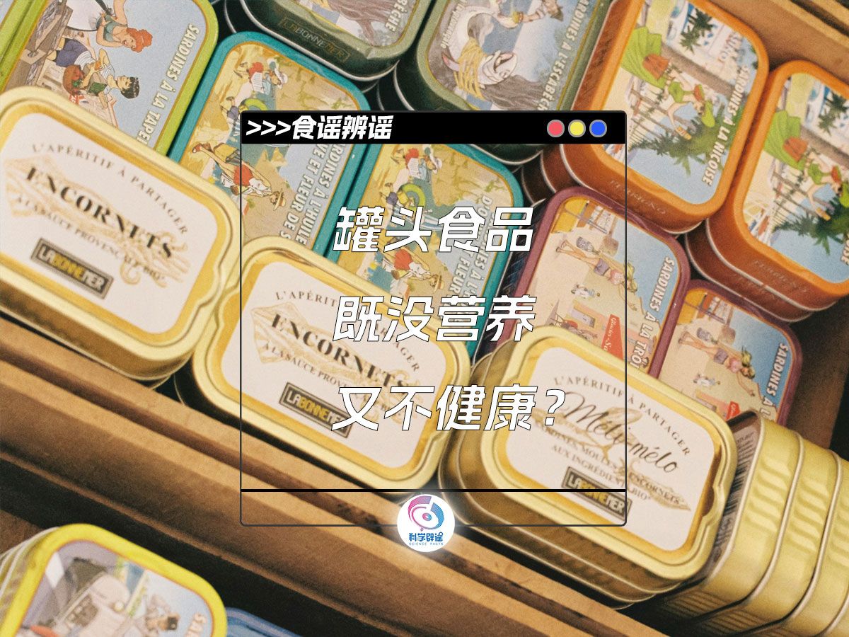 罐头食品既没营养又不健康?哔哩哔哩bilibili