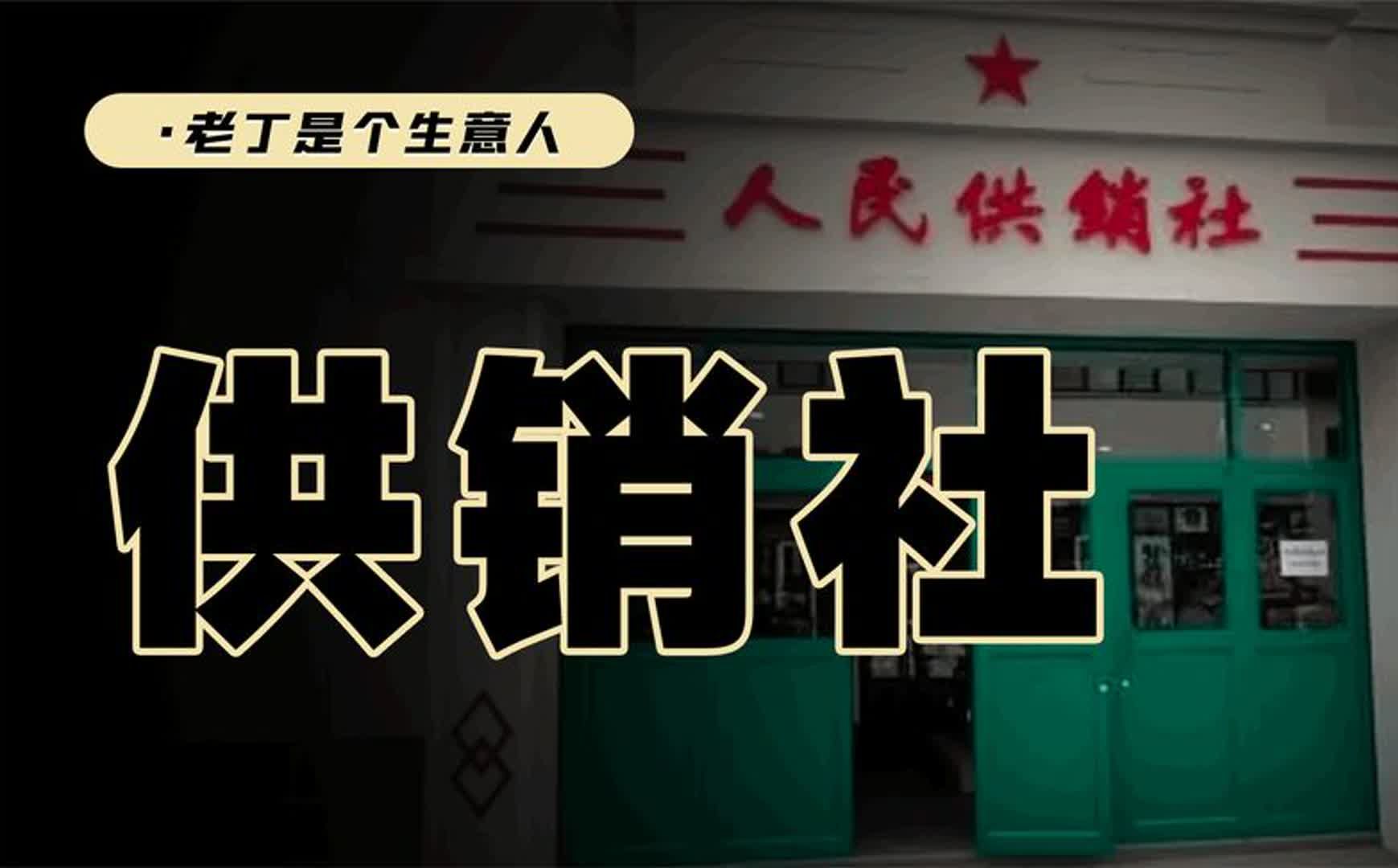 经济上为什么再提供销社?这些又意味着什么?哔哩哔哩bilibili