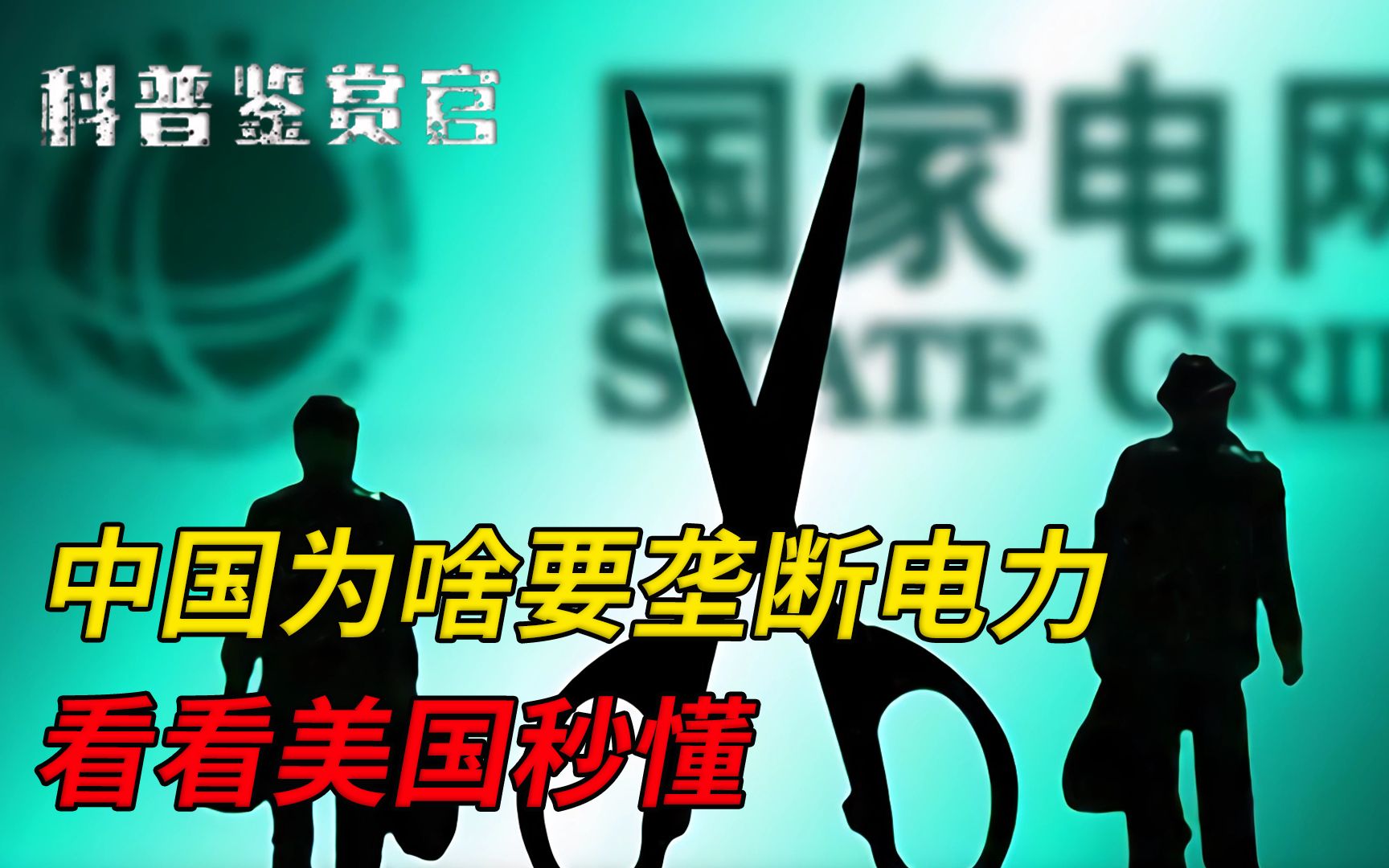 中国为什么要垄断电力?改成私有会怎样?看完美国惨状瞬间秒懂!哔哩哔哩bilibili