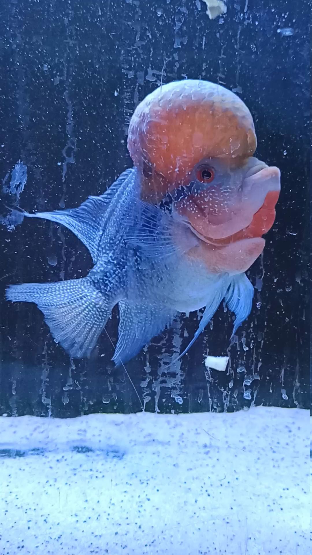 1080_1920竖版 竖屏