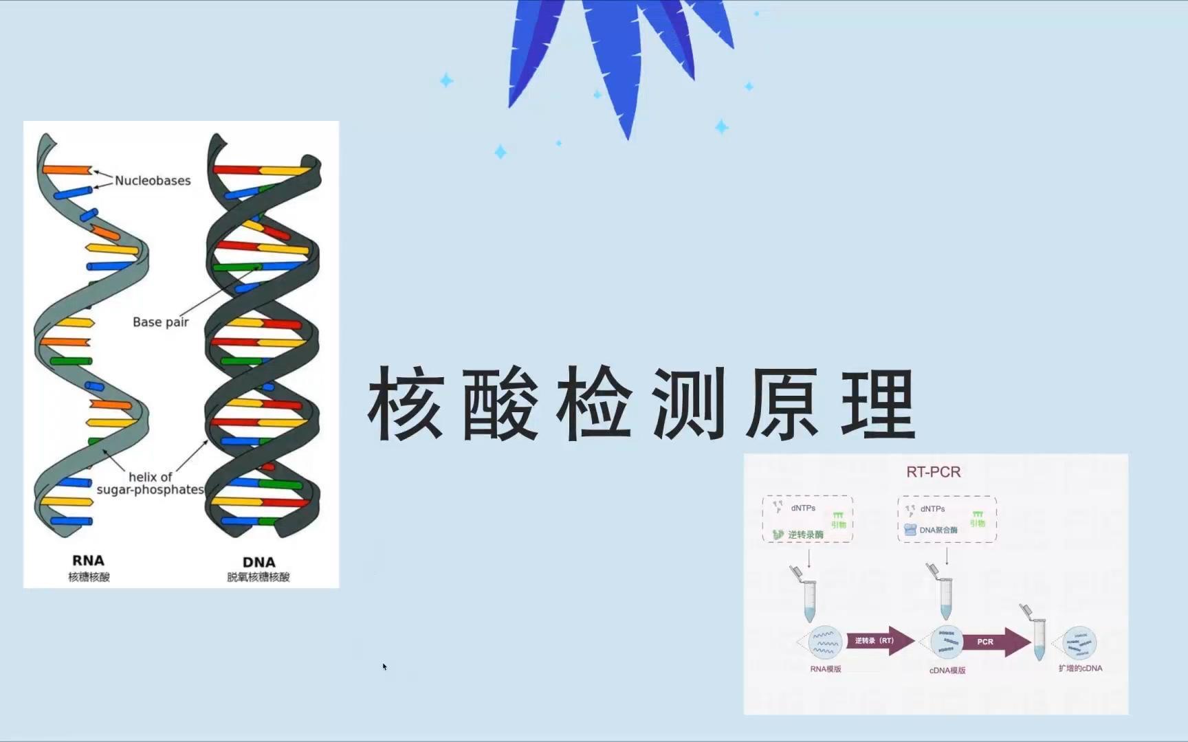 [图]新冠病毒核酸检测的原理和流程