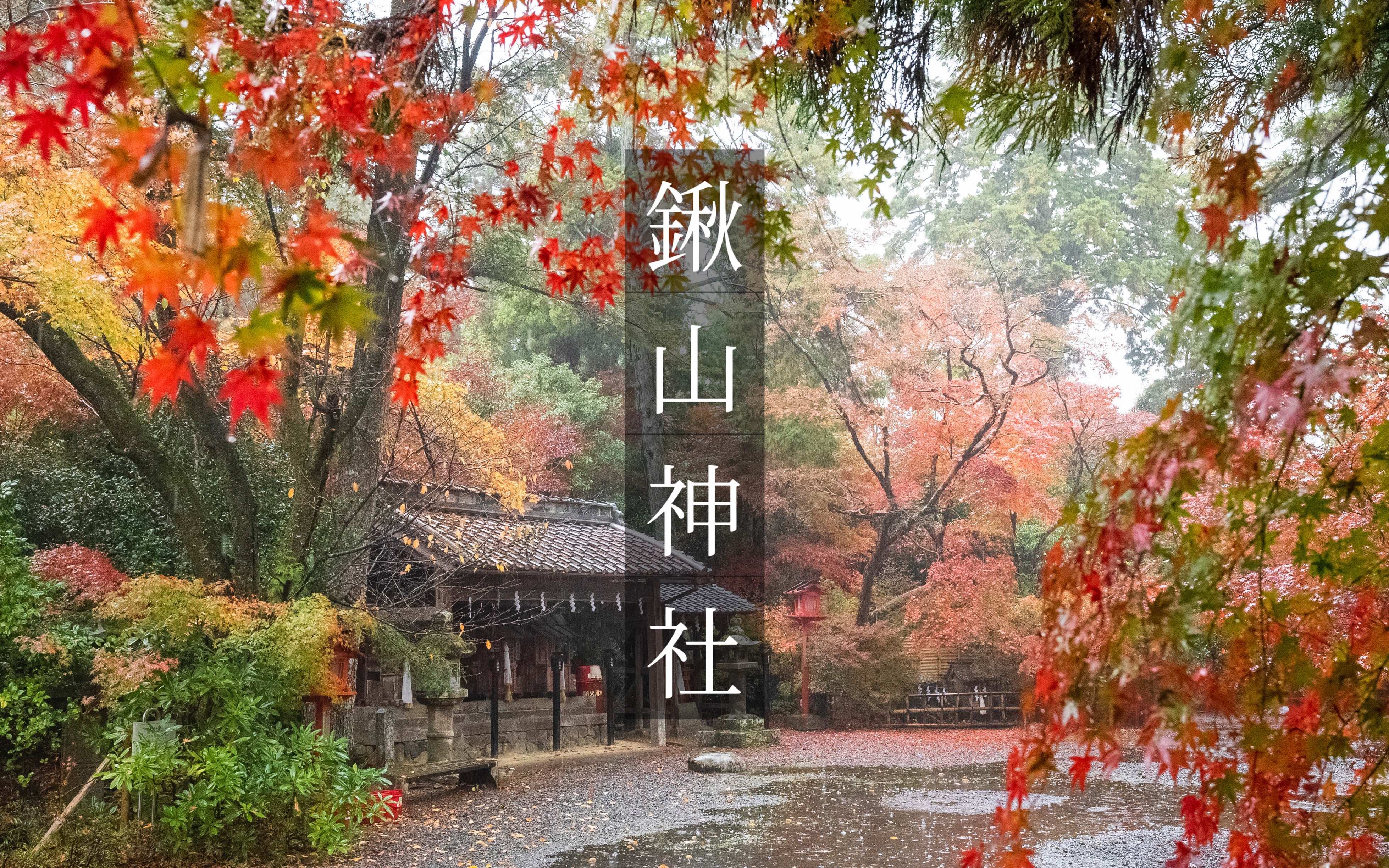 【左手雨伞,右手稳定器,就这么把红叶给赏了】雨中的京都亀冈红叶名所|清晨锹山神社的雨中红叶|创造丹波之国的神明的神社哔哩哔哩bilibili