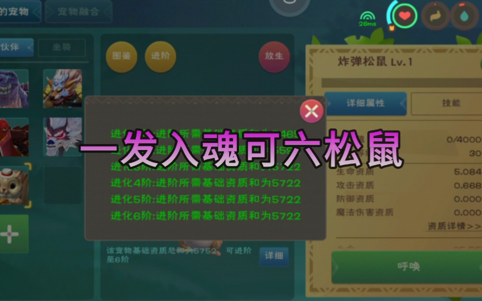 创造与魔法松鼠表情包图片