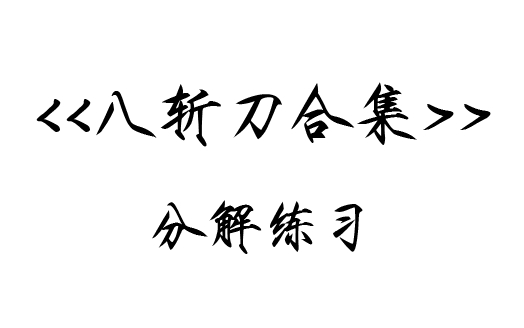 [图]【每日一练】咏春八斩刀合集