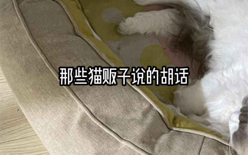 那些猫贩子说的胡话哔哩哔哩bilibili