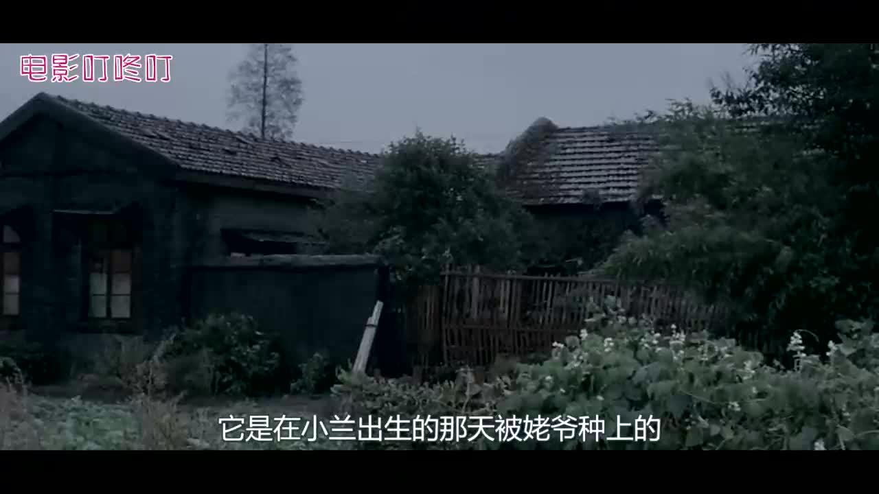 10年前的国产电影,蒋雯丽自编自导处女作,好人去天上坏人去地下哔哩哔哩bilibili