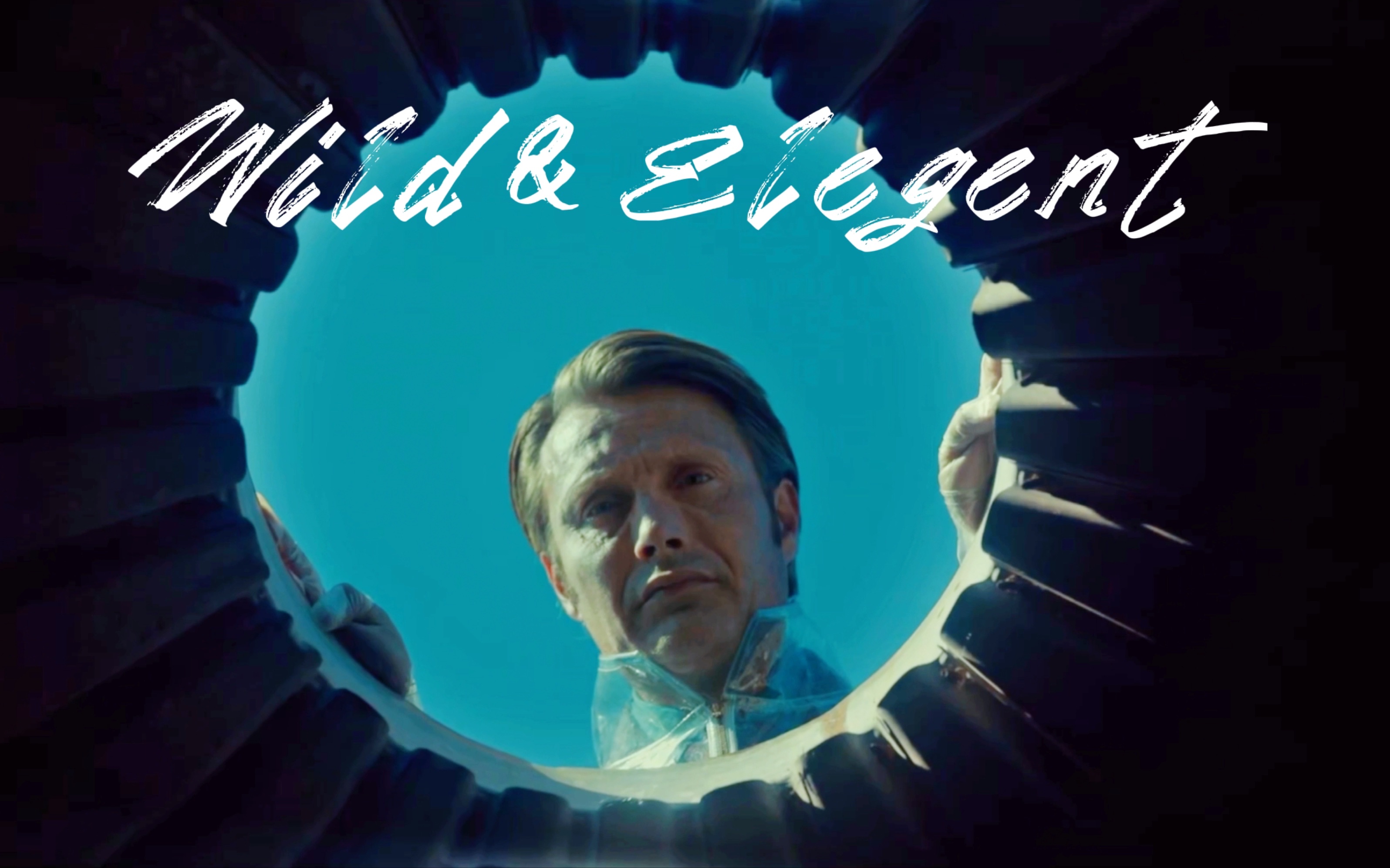 【Mads Mikkelsen】Wild & Elegent哔哩哔哩bilibili